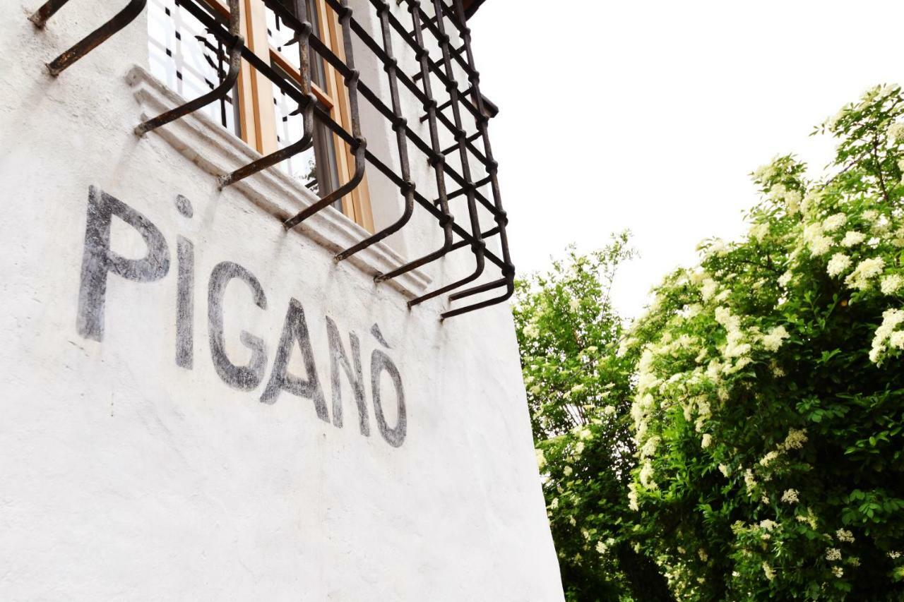 Апартаменти Casa Pigano Апп'яно-сулла-Страда-дель-Віно Екстер'єр фото